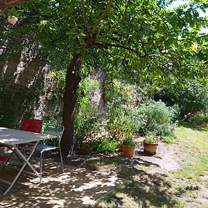 Le Petit Passage, Jardin Et Loire A Velo Lägenhet Ancenis Exterior photo