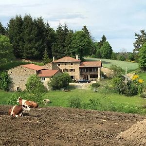 Maison Rustique Raffinee A Saint Hilaire Cusson La Valmitte Avec Paturages Villa Exterior photo