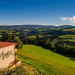 Der Almblick Hotell Strallegg Exterior photo