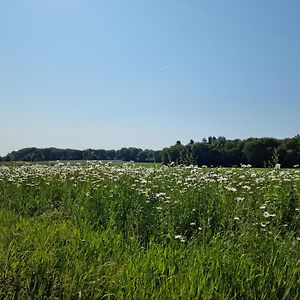 Logeren Bij Sabine En Jw Lägenhet Beekbergen Exterior photo