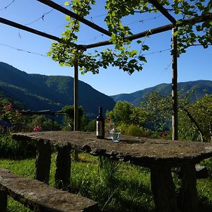 Wild Valley Garden Paradise In Valle Onsernone Lägenhet Auressio Exterior photo