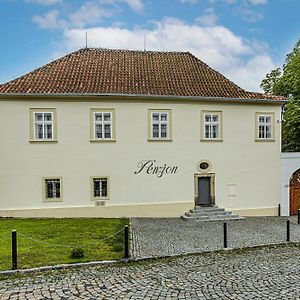 Penzion Popelka Hotell Roudnice nad Labem Exterior photo