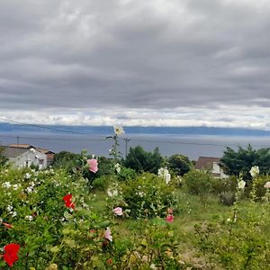 Lost In Thyme Lägenhet Lajes do Pico Exterior photo