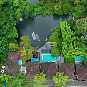 Athirapally Green Trees Hotell Athirappilly Exterior photo