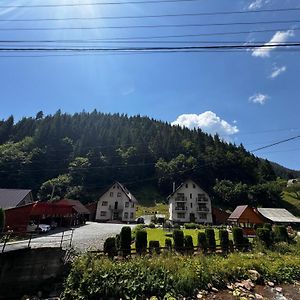 Pensiunea Emanuel Hotell Gîrda de Sus Exterior photo