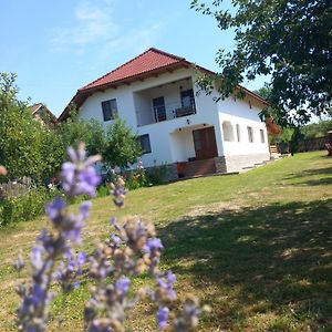 Casa Lavinia Crasna Gorj Pensionat Exterior photo