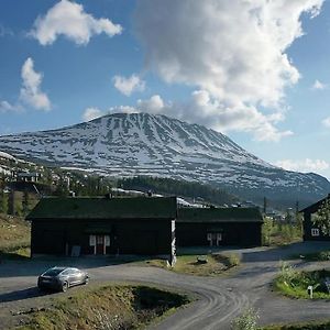 Laegenhet Med Utsikt Mot Gaustatoppen, Ski In Ski Out Lägenhet Gaustablikk Exterior photo