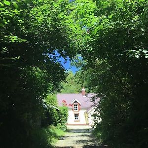 Alderlane cottage Wexford Exterior photo
