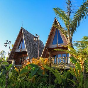 The A-Frame House Pensionat Gitgit Exterior photo