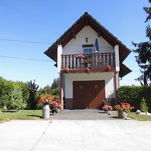 Aux Vignes Lägenhet Rott Exterior photo