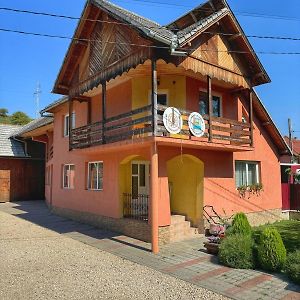 Casa Mariei Villa Vama Buzăului Exterior photo