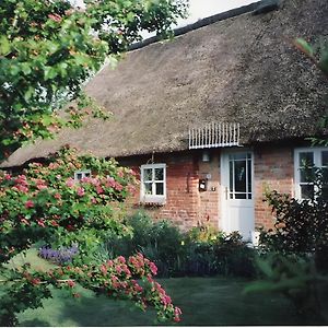 Friesenhaus Anke Lägenhet Struckum Exterior photo