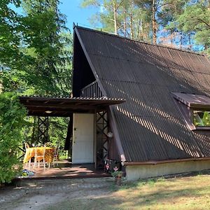 Kaminsko, Puszcza Zielonka, Dom Nad Jeziorem Lägenhet Exterior photo