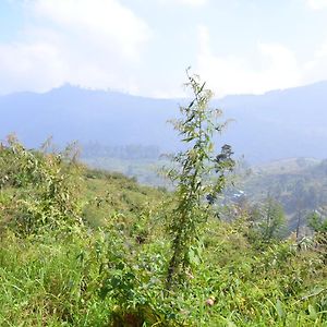 Dollies A Frame Hotell Kodaikanal Exterior photo