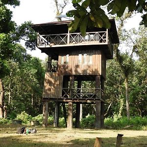 Typical Nepali Kitchen - No Pizza - No Pasta - No Problem !! Hotell Sauraha Exterior photo