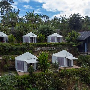 Alam Kita Glamping & Plantation Hotell Munduk Exterior photo