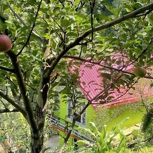 Apple Blossom Hideaway Narkanda Lägenhet Shimla Exterior photo