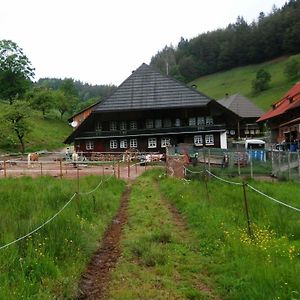 Ferienwohnung Am Belchen Bollen Exterior photo