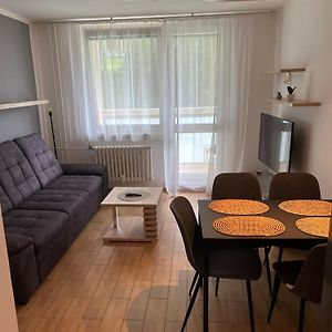 Apartman U Areny Nmnm Lägenhet Nove Mesto na Morave Exterior photo