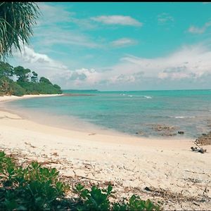 Mallick Palace Neil Island South Andaman Hotell Ram Nagar Exterior photo