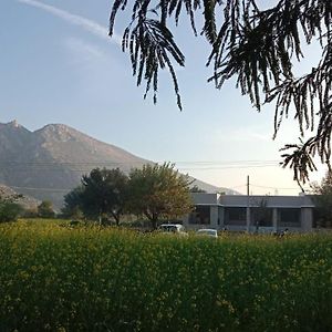 Sariska Nature Estate Hotell Thana Ghazi Exterior photo