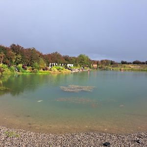 Pond Beach Hazel Bed and Breakfast Rathdowney Exterior photo