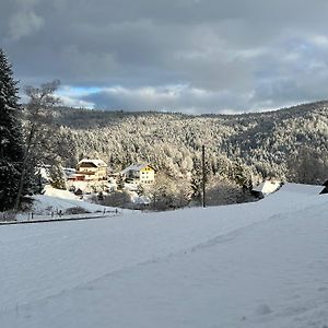 Boutique Hotel And Apartments Pension Sternen Todtmoos Exterior photo