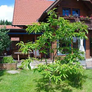 Familienurlaub Im Haus Mit Sauna Lägenhet Feldkirchen an der Donau Exterior photo