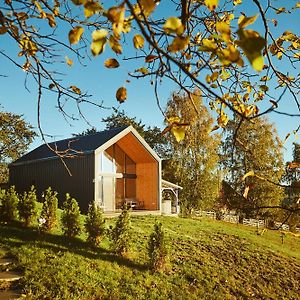 Scandinave Chalet Bran Villa Zărneşti Exterior photo