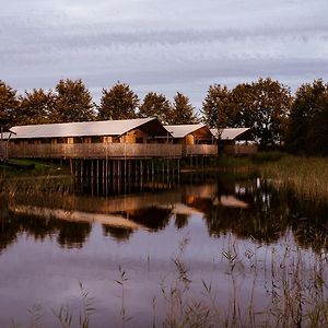 Luxe Glamping Tent Hotell Bant Exterior photo