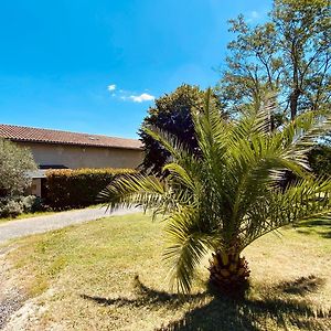 Domaine De Canteloup Au Coeur Des Vignes Avec Piscine Hotell Saint-Caprais-de-Bordeaux Exterior photo