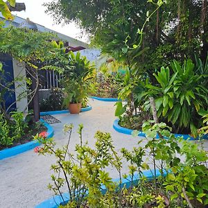 Garden Rooms #79 Bodufolhudhoo Exterior photo