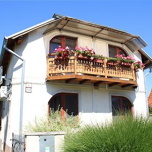 Vila Anna Hotell Veľký Meder Exterior photo