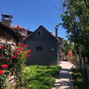 Vila Janko 1 Villa Voskopojë Exterior photo