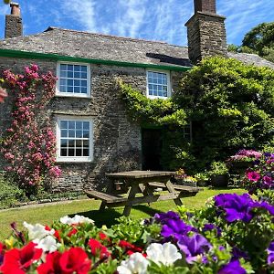 Shute Farm Bed and Breakfast Kingsbridge  Exterior photo