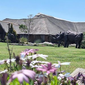 Linglela Lodge Estcourt Exterior photo