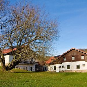 Penzion Hradek Hotell Novy Hradek Exterior photo