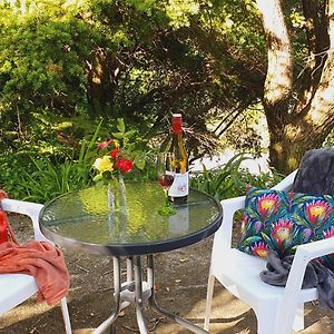 New Birdsong Abode Central Guest House Lower Hutt Exterior photo