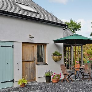 Field View Villa Cynghordy Exterior photo