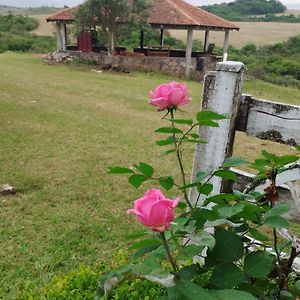 Hotel Fazenda Verdi Ipe Exterior photo