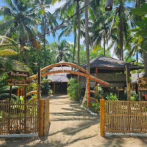 Big Bamboo Beach Resort Sipalay Exterior photo