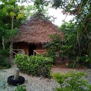 Shadrack Backpackers Hotell Nungwi Exterior photo