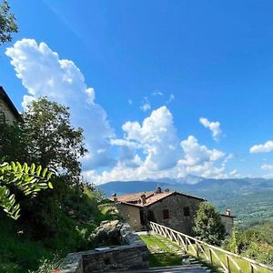 Isa - Rooms With Private Bathroom In A Villa With Fenced Garden Surrounded By Greenery, Shared Kitchen, Shared Hydromassage Tub And Sauna Sillicano Exterior photo