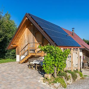 Vineyard cottage Škatlar 3 Otočec Exterior photo