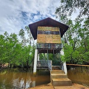 Tree House Bed and Breakfast Mahuyabhuyab Exterior photo