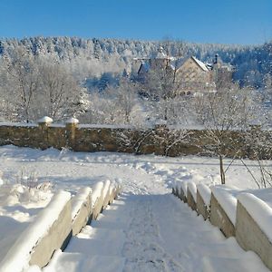 Рудий Лис Hotell Skhidnytsia Exterior photo