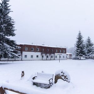 Penzion Dobik Pasecna Hotell Přední Výtoň Exterior photo