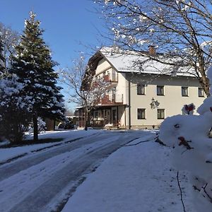 Pension Sommerauer Hotell Hallein Exterior photo