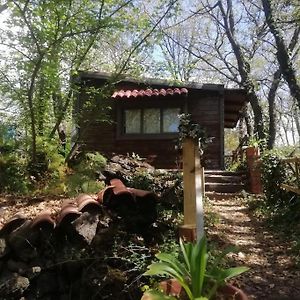 Casetta In Legno Tra Gli Alberi Castiglione De Sicilia Exterior photo