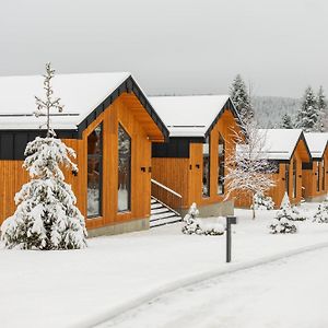 Phoenix Medical Resort Skhidnytsia Exterior photo